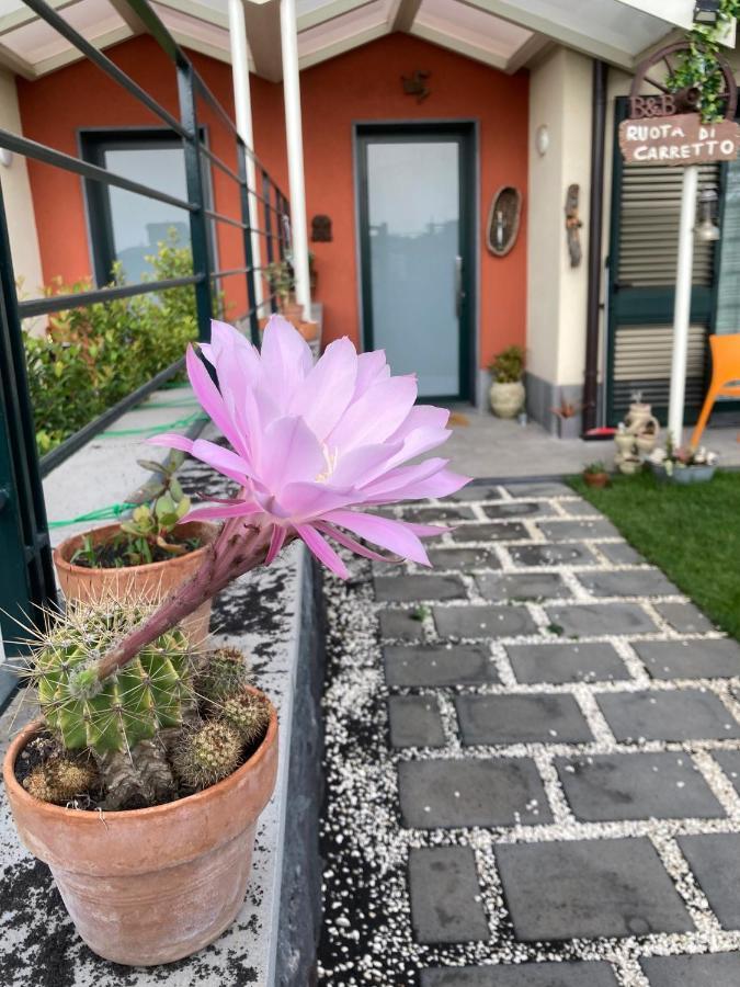 B&B Ruota Di Carretto Nicolosi Εξωτερικό φωτογραφία